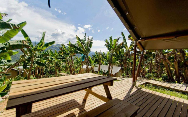 Glamping Jardín