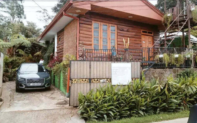 20/20 wood cabana