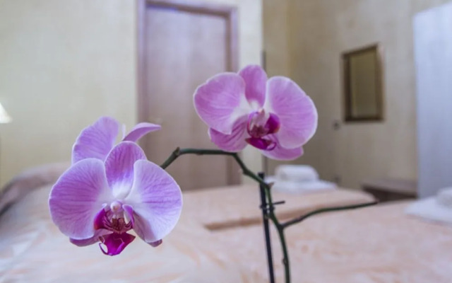 Residenza DEpoca Giardino Corsini