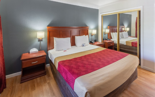 Pine Tree Chalet by RedAwning