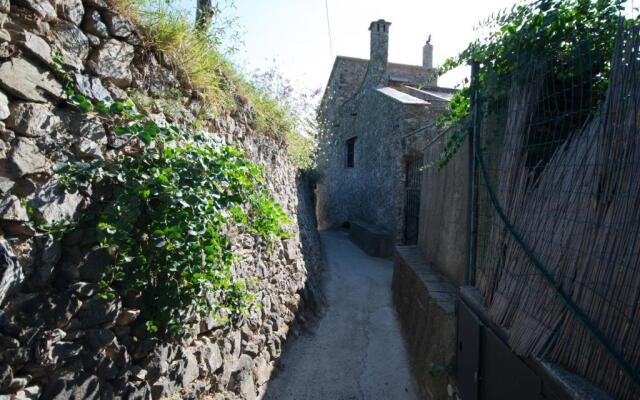 Rosamimama Citra Oo9042-Lt-0250