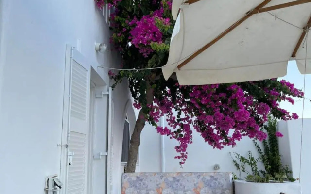Rose's House