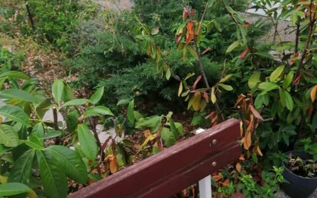 Charming Apartment Center Split Terrace & Parking