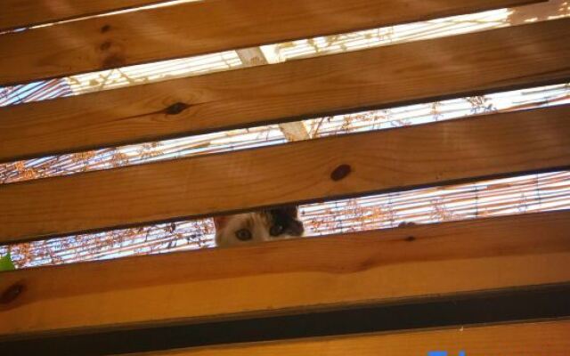 Cuanshe Boutique Hostel