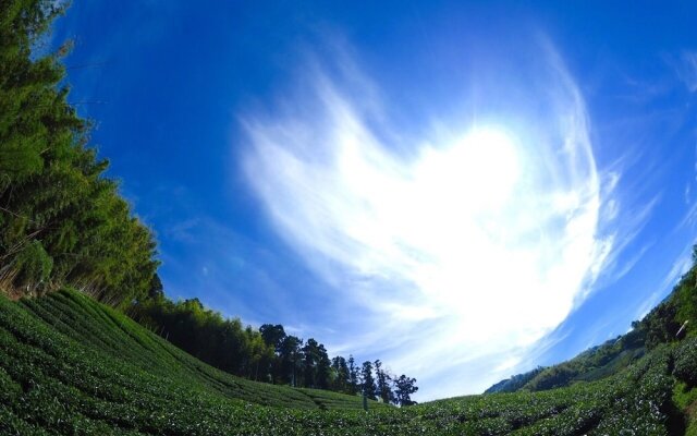 Sunrise235
