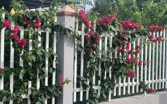 Duy An Guest House