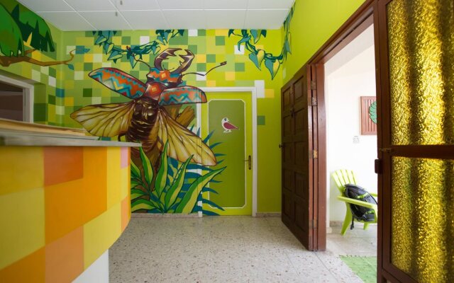 Jedi Garden Hostel