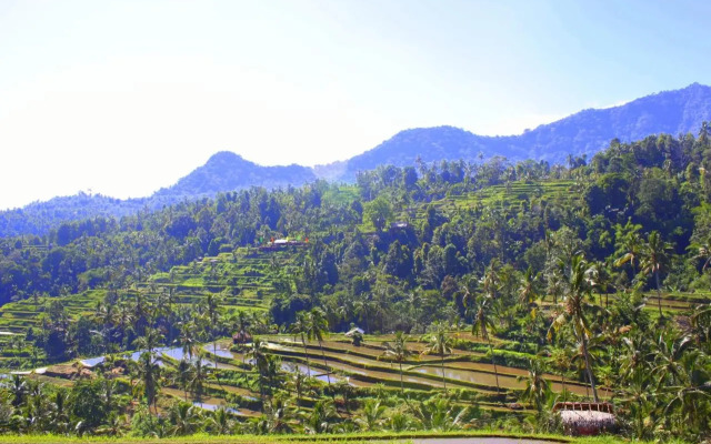 Ananda Homestay