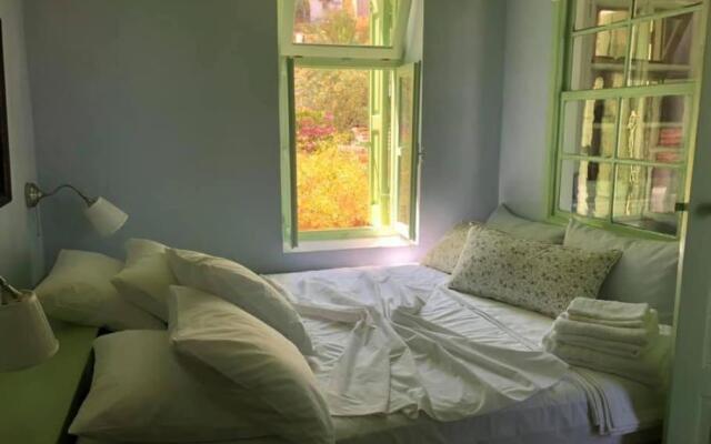Bouganvilla, elegant residence and peaceful garden