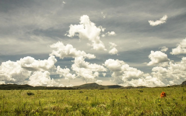 Raizando Ecologia Humana