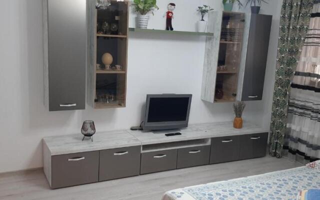 Apartament Liviu Strada Rozelor Etaj 3