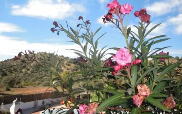 Casa El Corasueno