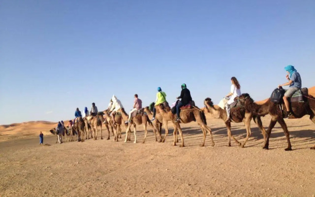Camels House