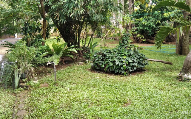 Dilupa Nature Resort