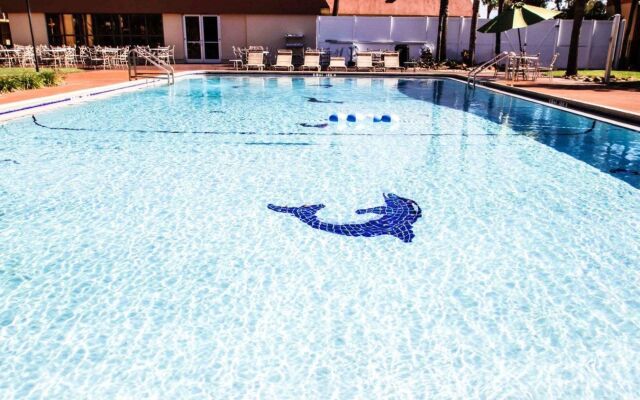 Stayable Orlando