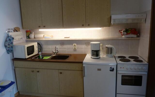 Beautiful Apartment in Pohla Saxony near Ski Area