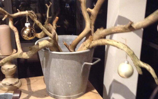 Strandvilla Waldhaus