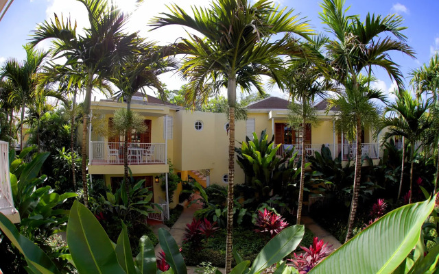 Negril Palms