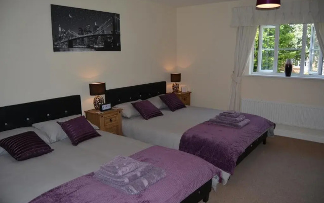 The Heights Bed  Breakfast