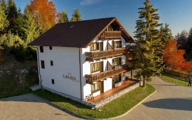 Vila Bradul - Complex Cheile Gradistei