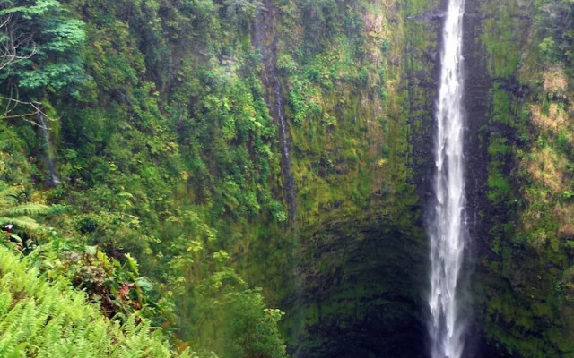 Hale Ola Aina 2 Bedroom Home by RedAwning