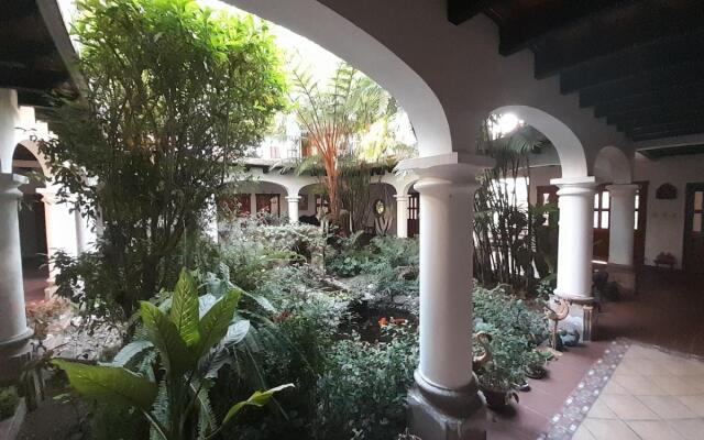 Casa Buho B&B