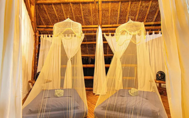 Water To Forest Ecolodge