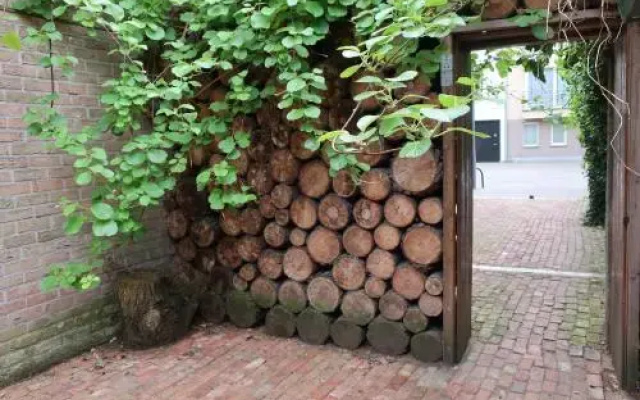 De Buitenmuur Guest House - фото 4