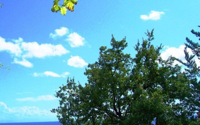 B&B La Casa Del Gelso