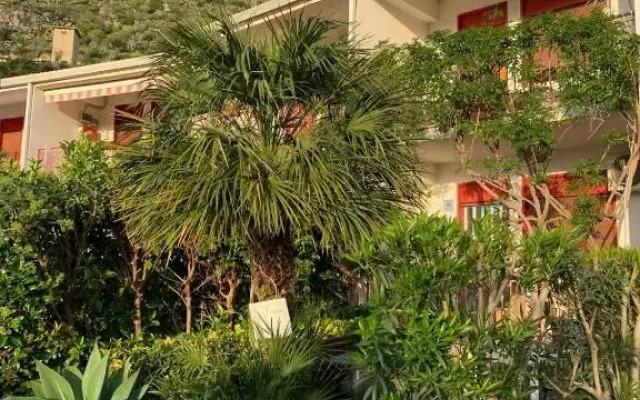 B&B Xenia