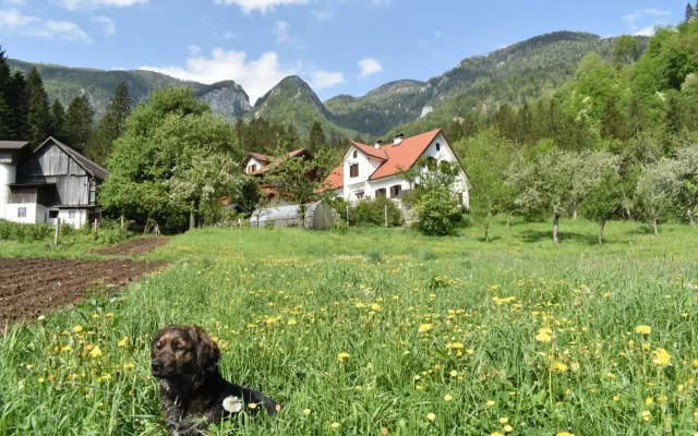 Turistična kmetija Stoglej