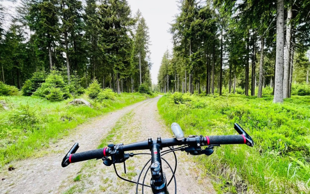 PLESSBERG Apartments Plešivec