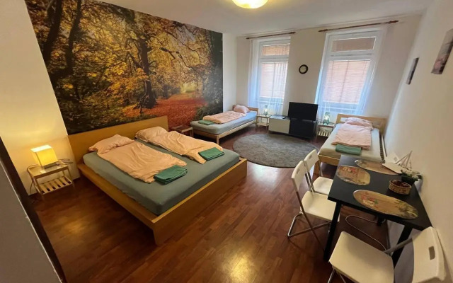 Apartment Spolkova