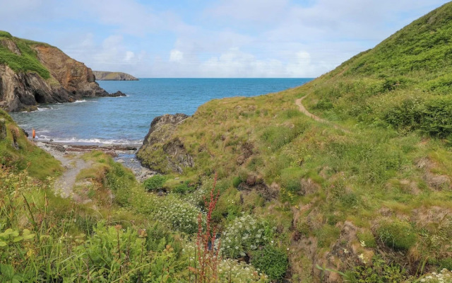 Llain Gwynfor