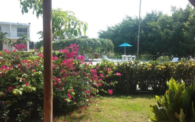 Hotel parador tropical