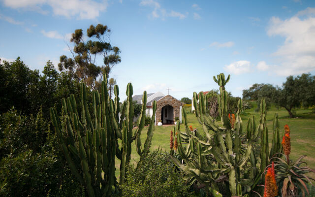 Leeuwenbosch Country House - Amakhala Game Reserve