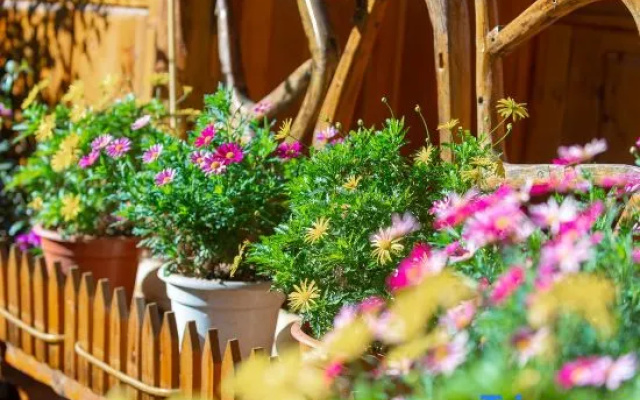 Qianyu Miyun Viewing Bieyuan (Lijiang Ancient City Dashuiche Shop) – Outside – Lijiang