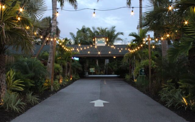 The Elephant Ear Cabanas