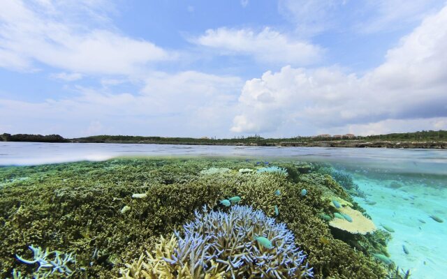 Allamanda Imgya Coral Village