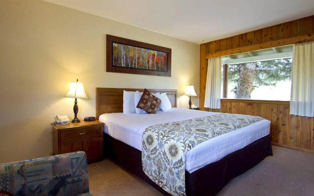 Coyote Mountain Lodge