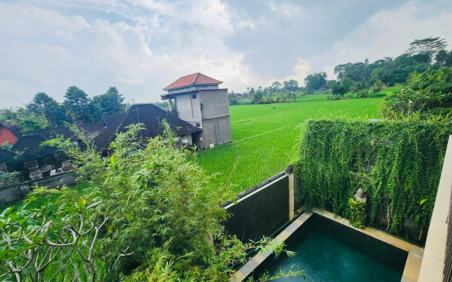 Uma Padi Villa