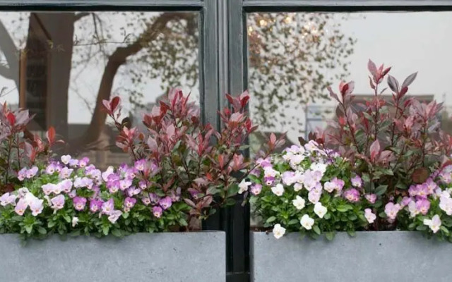 Schierstins Apartment