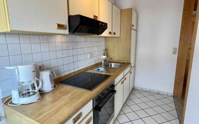 Hagelstein IV "Feuerstein"