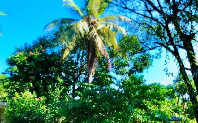 Nilupul Gardens
