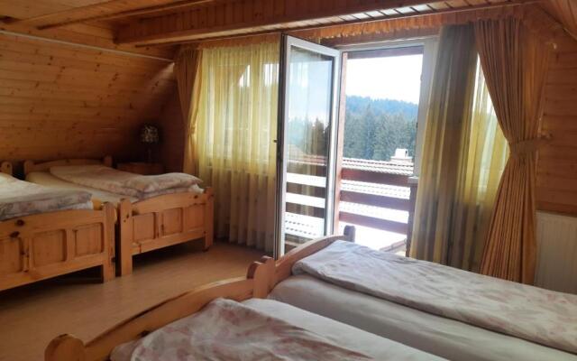 Antal Villa - 5mins to ski slope & 1min to skating