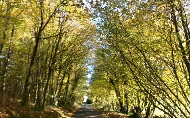 Hyper centre - Cathedrale - charmant F3 - 80 m2.