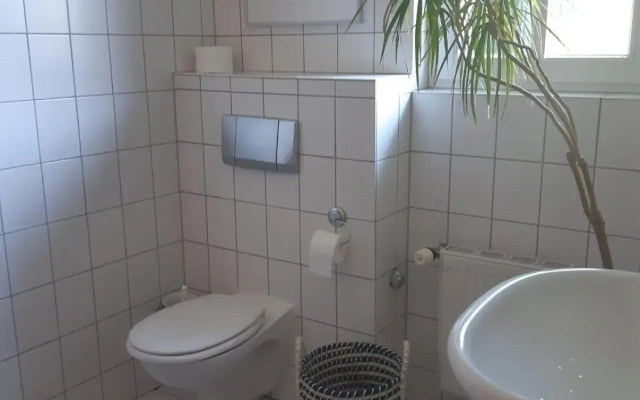 Kranichrast