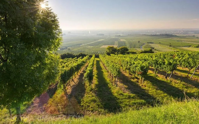 Luxury Design Apartment