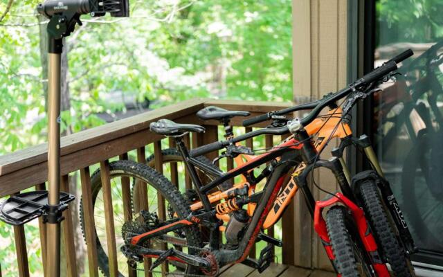 Lovely Oasis on Tunnel Vision Trail