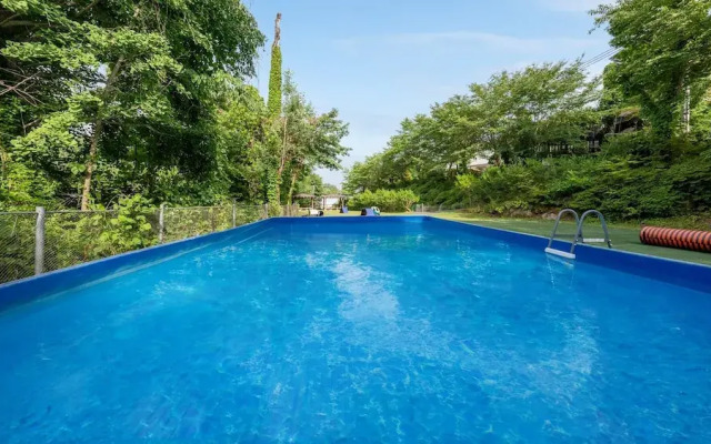 Gapyeong Highmong Pet-friendly Kids Pool